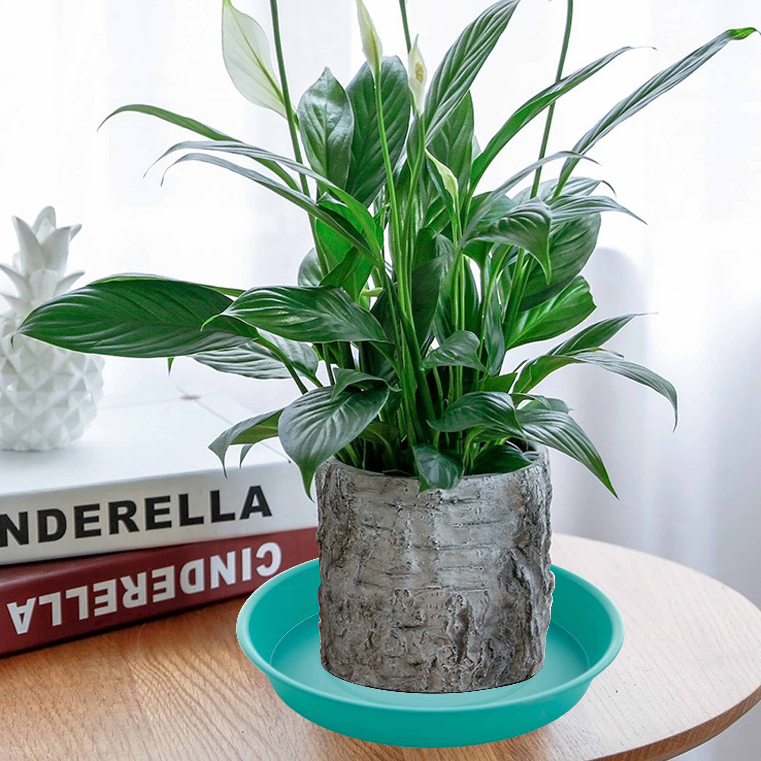Bleuhome ambientación interior con planta, estilo minimalista