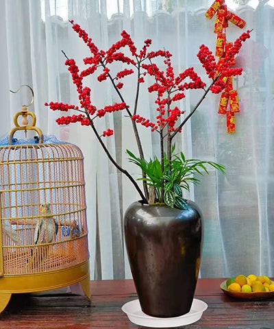Bleuhome ambientado en terraza moderna, combina con decoración exterior