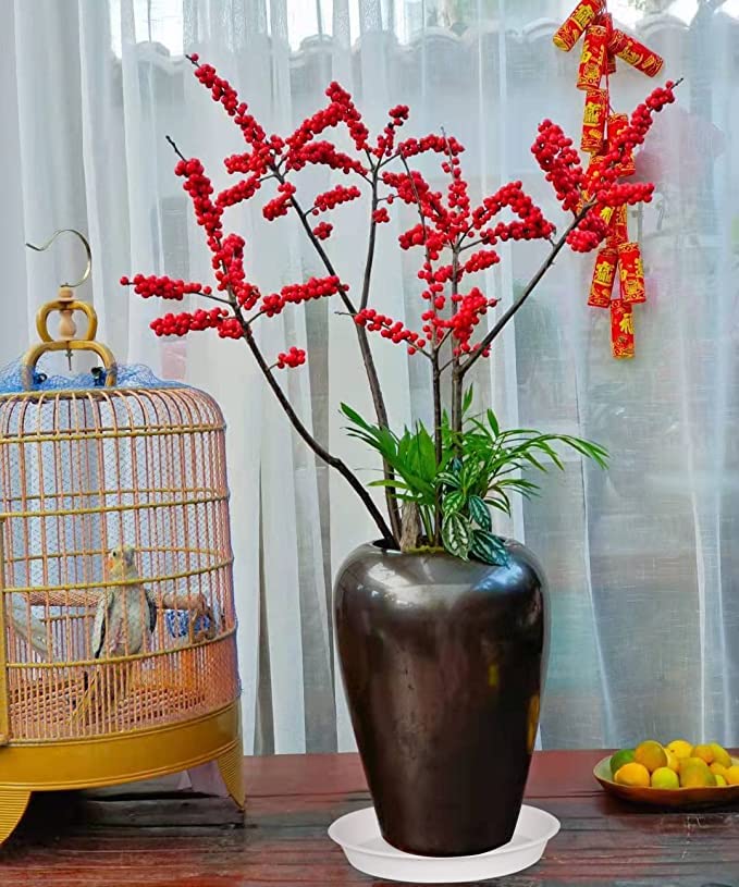 Bleuhome bandeja en ambiente decorado mejora apariencia interior