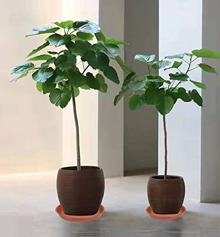 Bleuhome bandeja en jardín como baño de aves y protección exterior