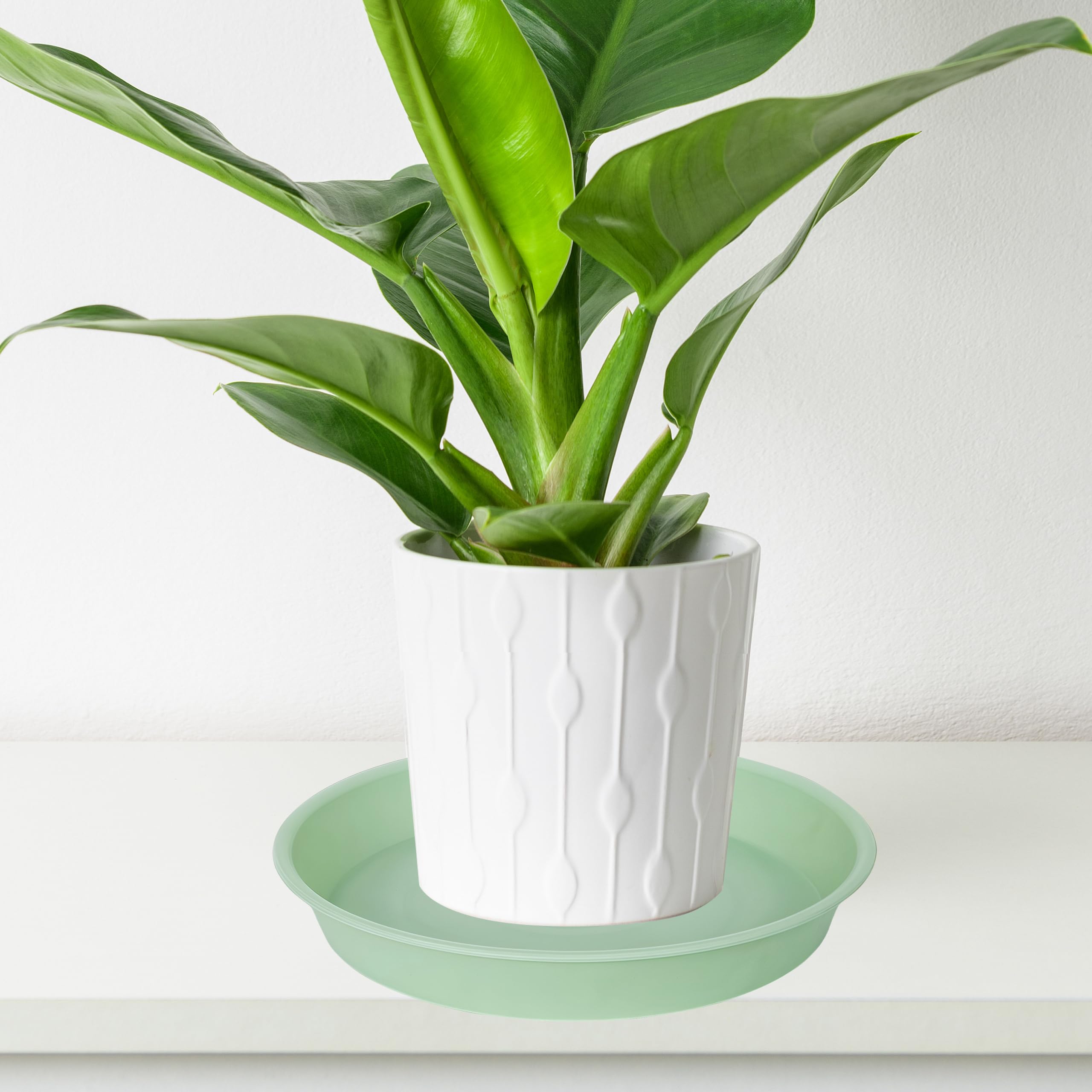 Bleuhome borde y profundidad para retener exceso de agua