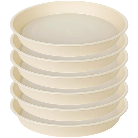 Bleuhome plato en escena decorativa complementando plantas de interior