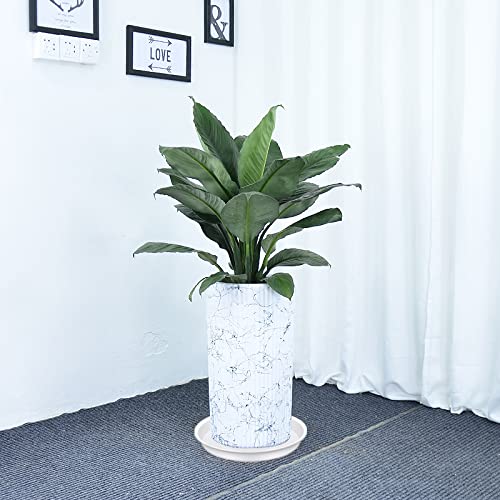 Bleuhome en uso con maceta interior evitando derrames y manchas