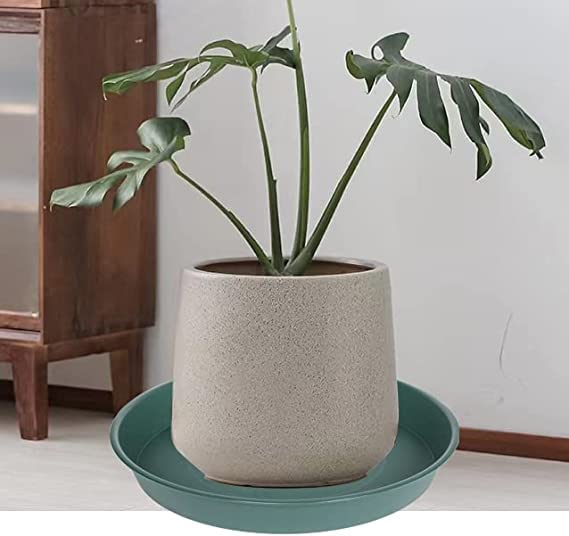 Bleuhome bandeja en jardín como elemento decorativo resistente al clima
