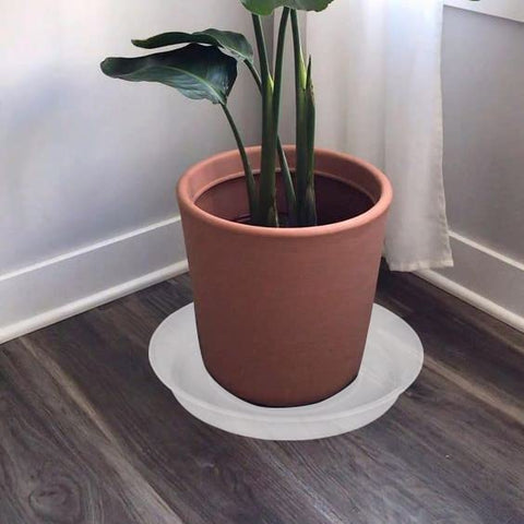 Bleuhome etiqueta con medidas claras ayuda a elegir talla