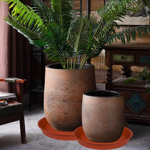 Bleuhome con maceta en interior demostrando contención de agua y limpieza del suelo