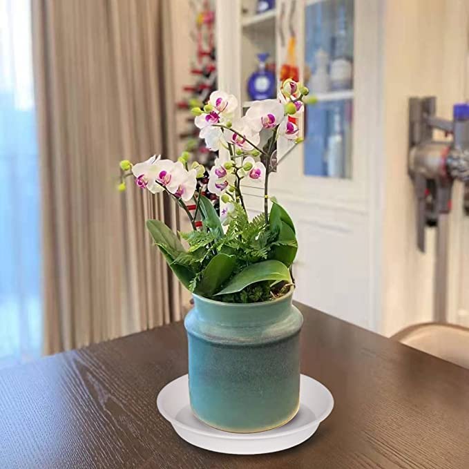Bleuhome plato con maceta en uso protege mueble de riego