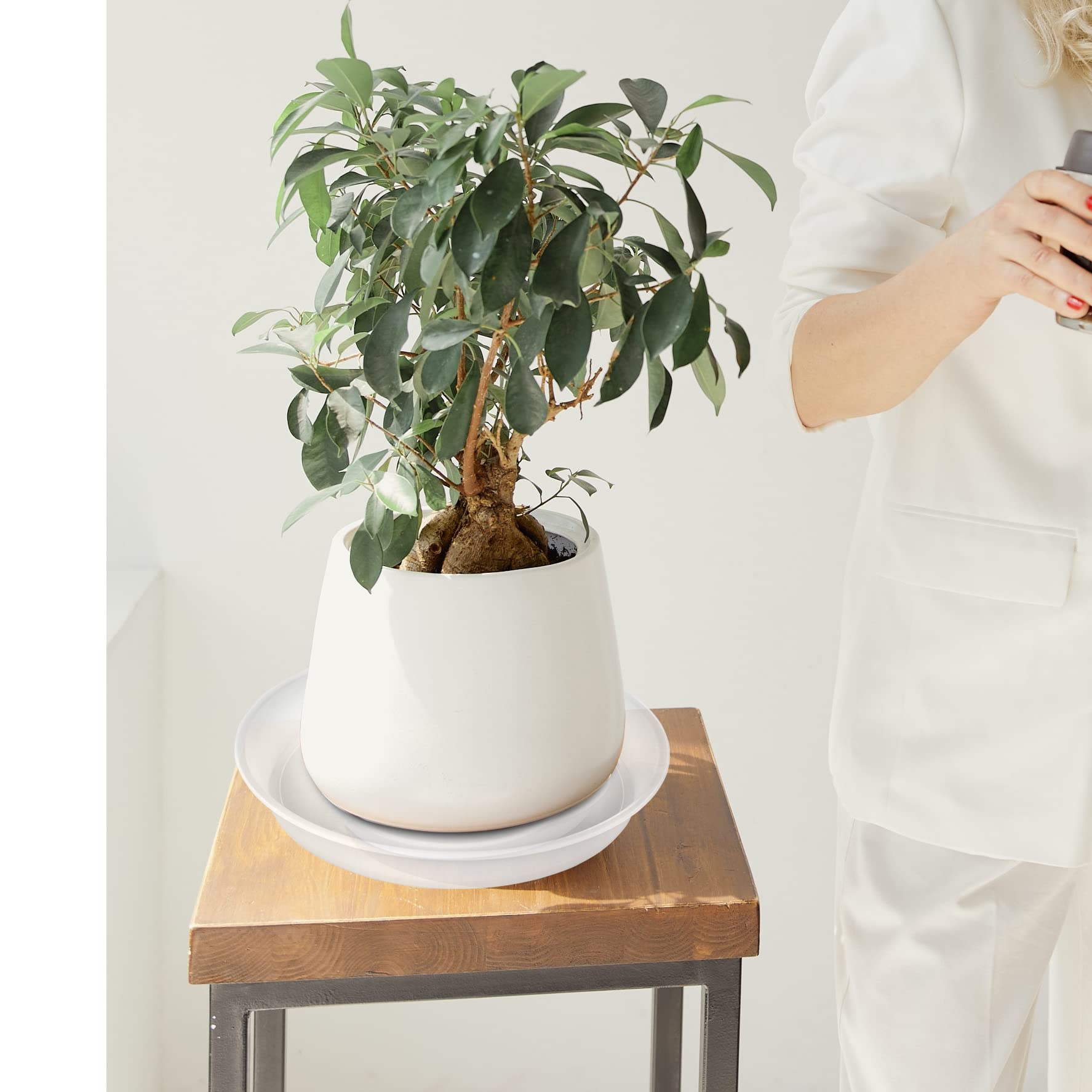 Bleuhome platillo en uso interior evita manchas en mesa