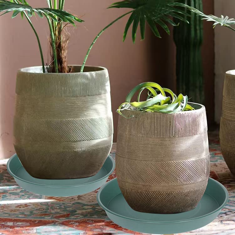 Bleuhome platillo usado como baño de aves aportando vida al jardín