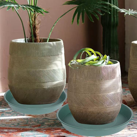 Bleuhome platillo usado como baño de aves aportando vida al jardín