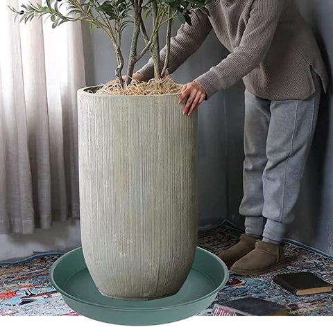 Bleuhome bandeja usada como baño para aves ofreciendo acceso seguro al agua