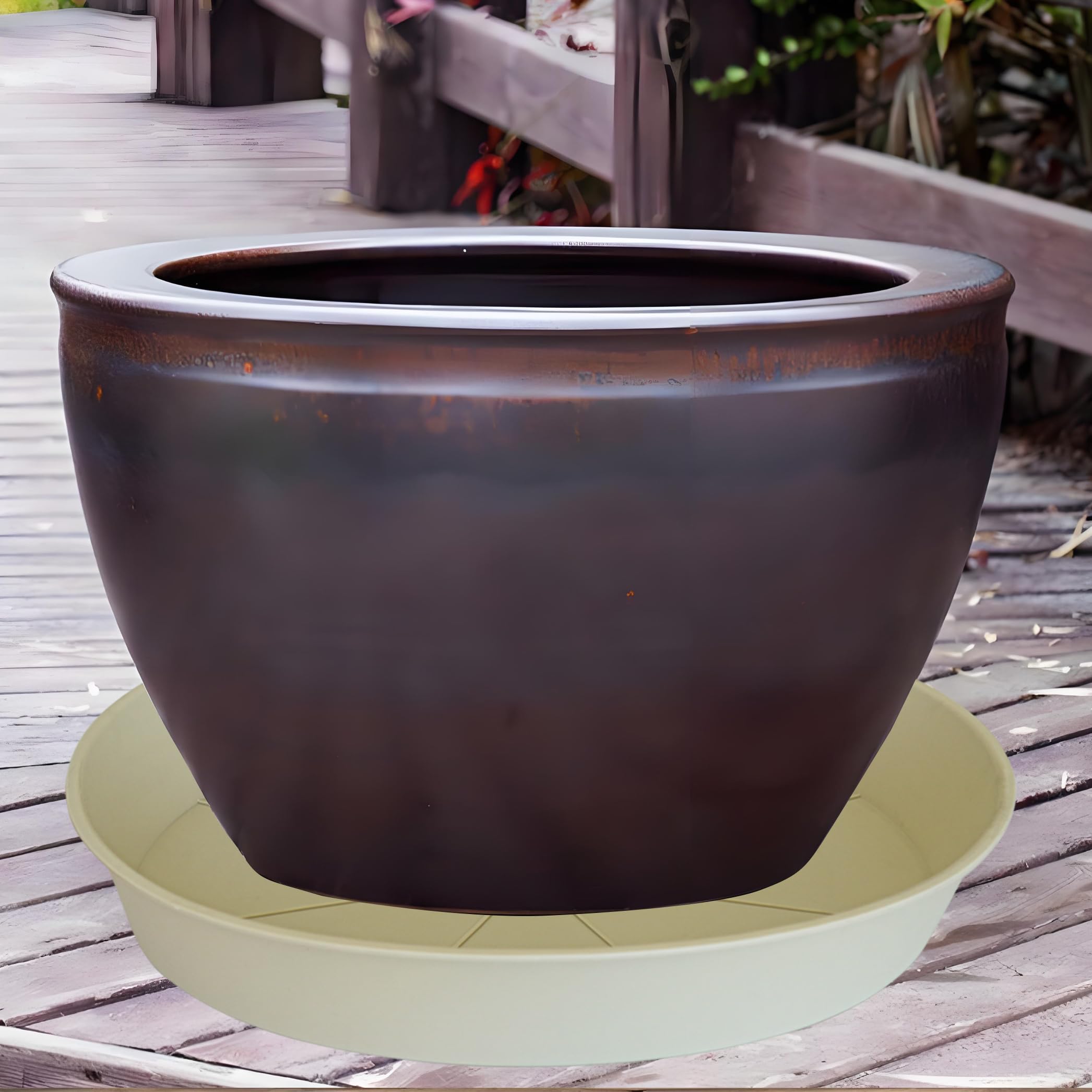 Bleuhome plato comparación escala muestra dimensiones exactas