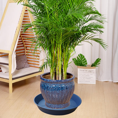 Bleuhome plato con maceta en uso, recoge drenaje eficientemente