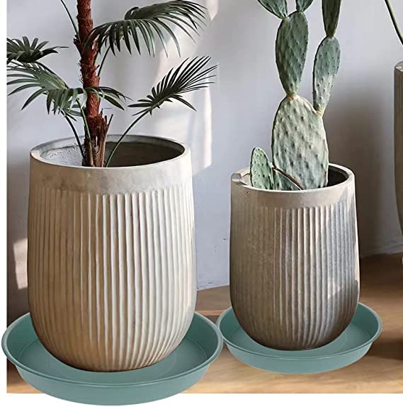 Bleuhome plato detalle de textura mate que evita resbalones
