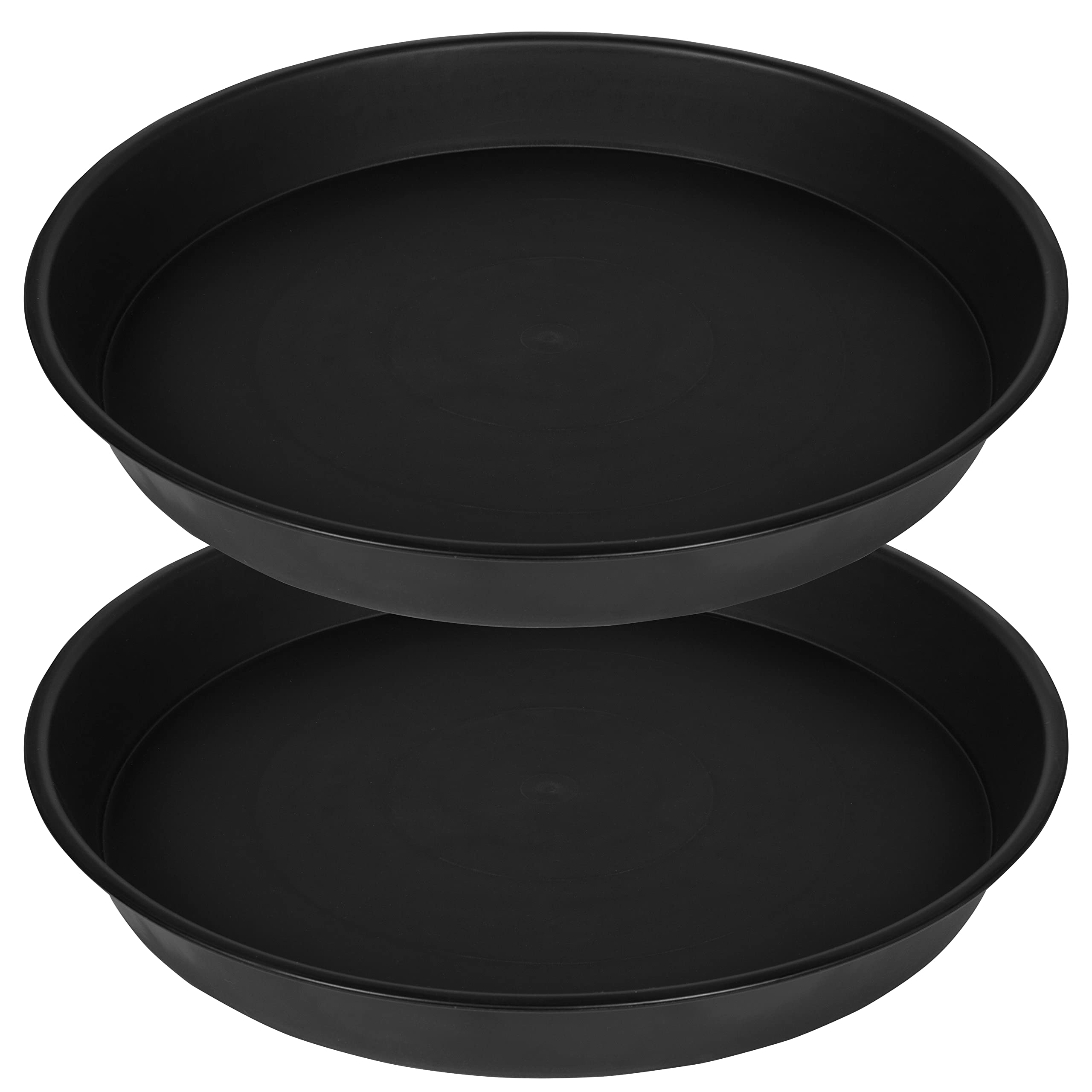 Bleuhome plato frontal 10" mostrando diseño y tamaño práctico