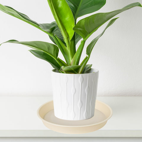 Bleuhome interior liso fácil de limpiar y mantener higiénico