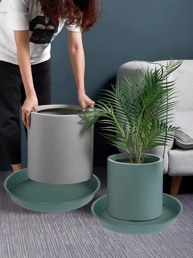 Bleuhome plato en jardín usado como baño para aves