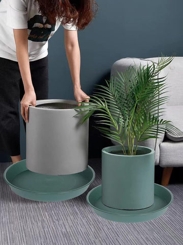 Bleuhome plato en jardín usado como baño para aves