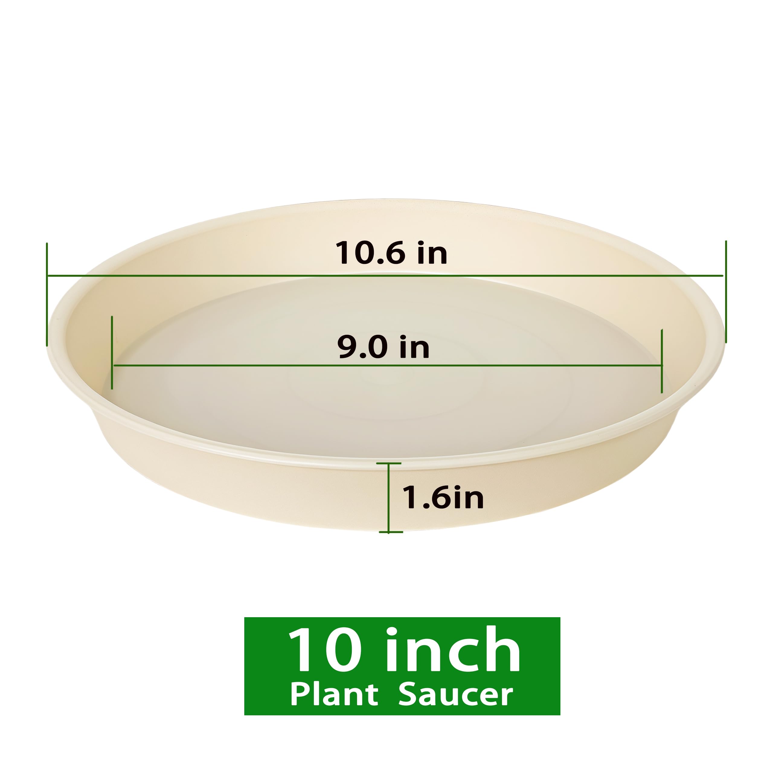Bleuhome vista superior del plato de 10,5 pulgadas, diseño práctico