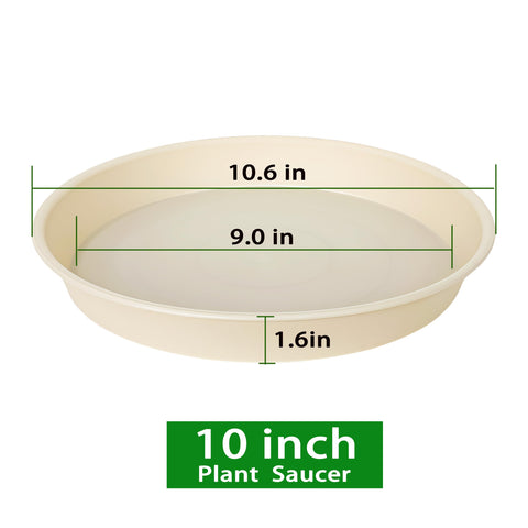 Bleuhome vista superior del plato de 10,5 pulgadas, diseño práctico