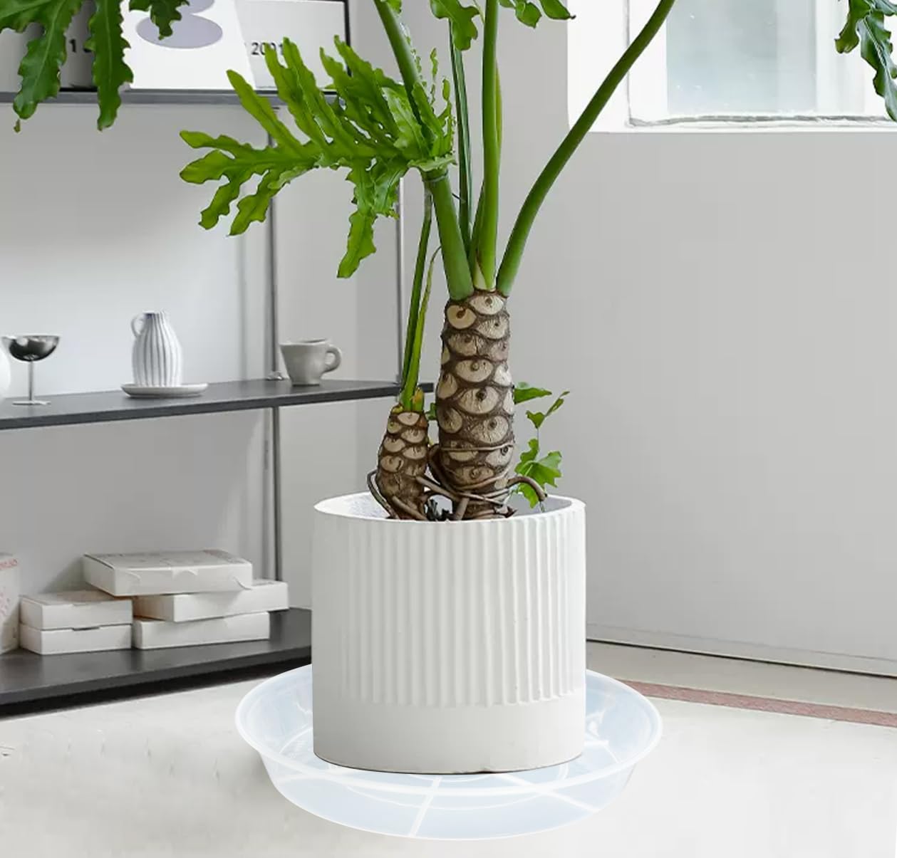 Bleuhome vista lateral profundidad 2.7 pulgadas beneficios