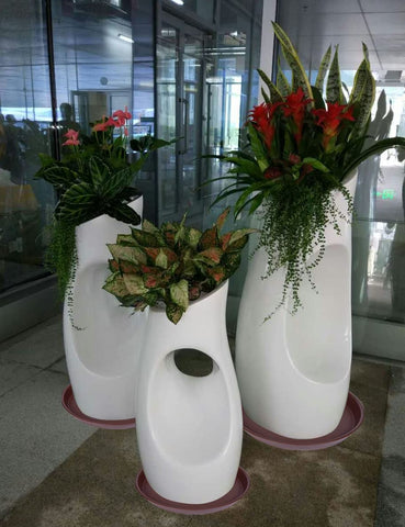 Bleuhome plato colocado en jardín como bandeja para plantas y decoración exterior