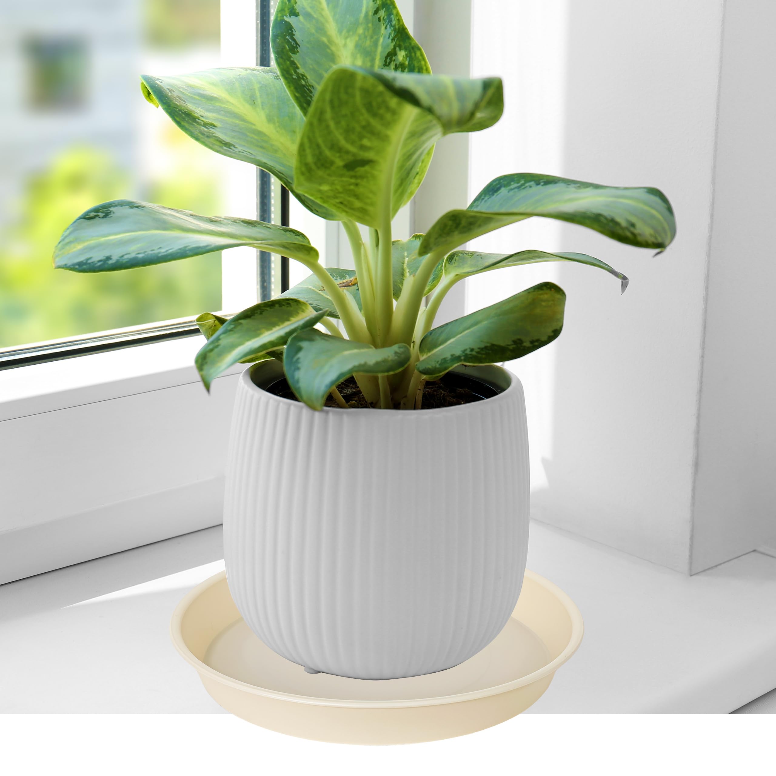 Bleuhome plato colocado en terraza resistiendo condiciones exteriores