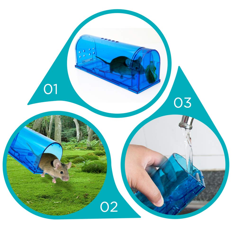 blinc primer plano de ventilación que garantiza aire para el animal