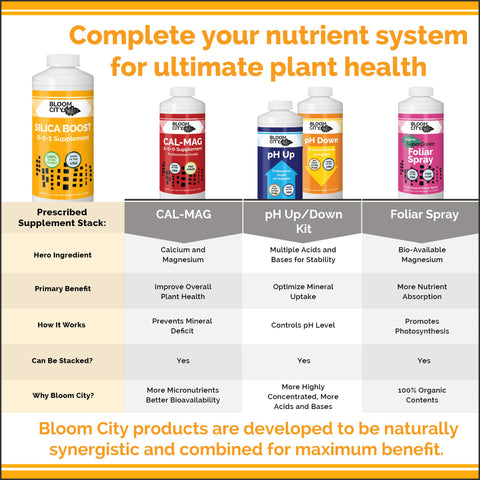 Bloom City en jardín exterior apoyando tallos y apariencia de plantas