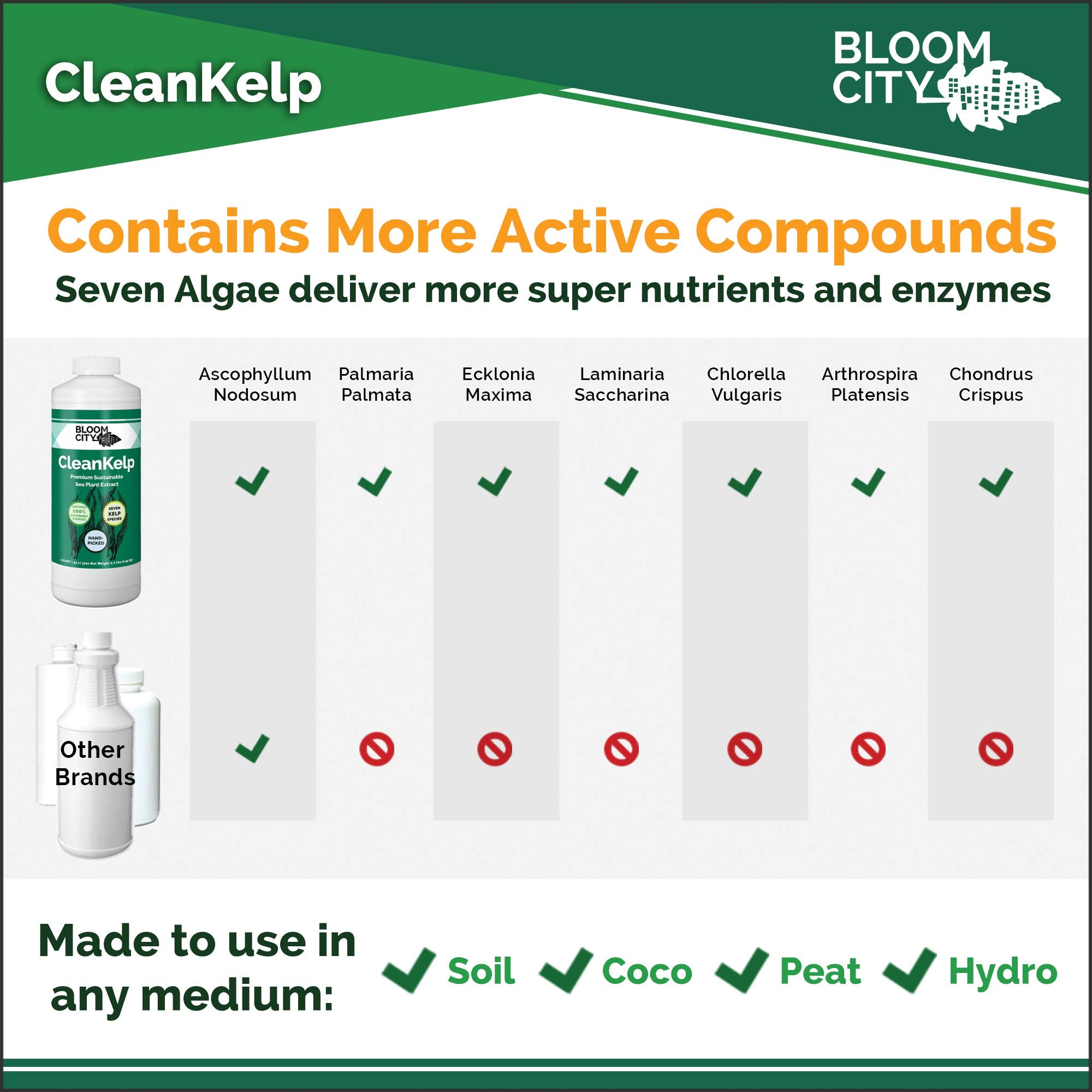 Bloom City aplicación foliar en planta para rápida absorción y vigor