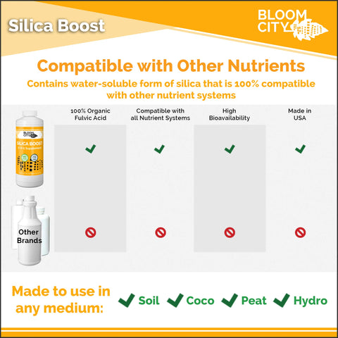 Bloom City botella junto a una mano para comparar tamaño y control de dosis