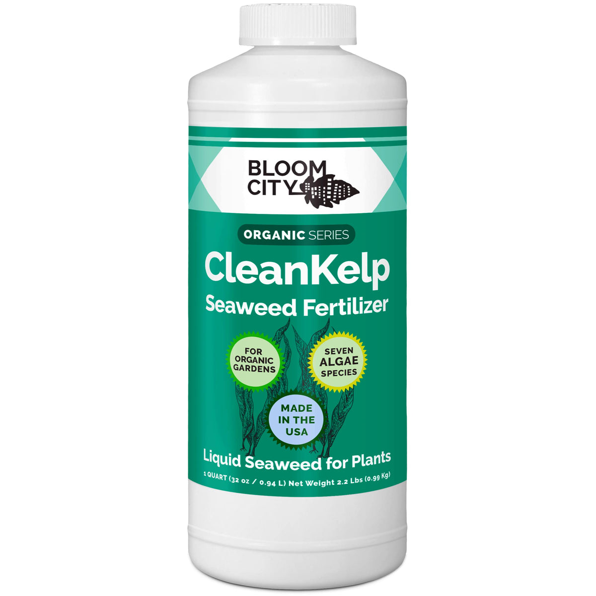 Bloom City envase frontal de 32 oz mostrando diseño claro y práctico