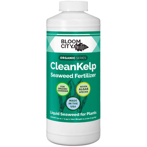 Bloom City envase frontal de 32 oz mostrando diseño claro y práctico