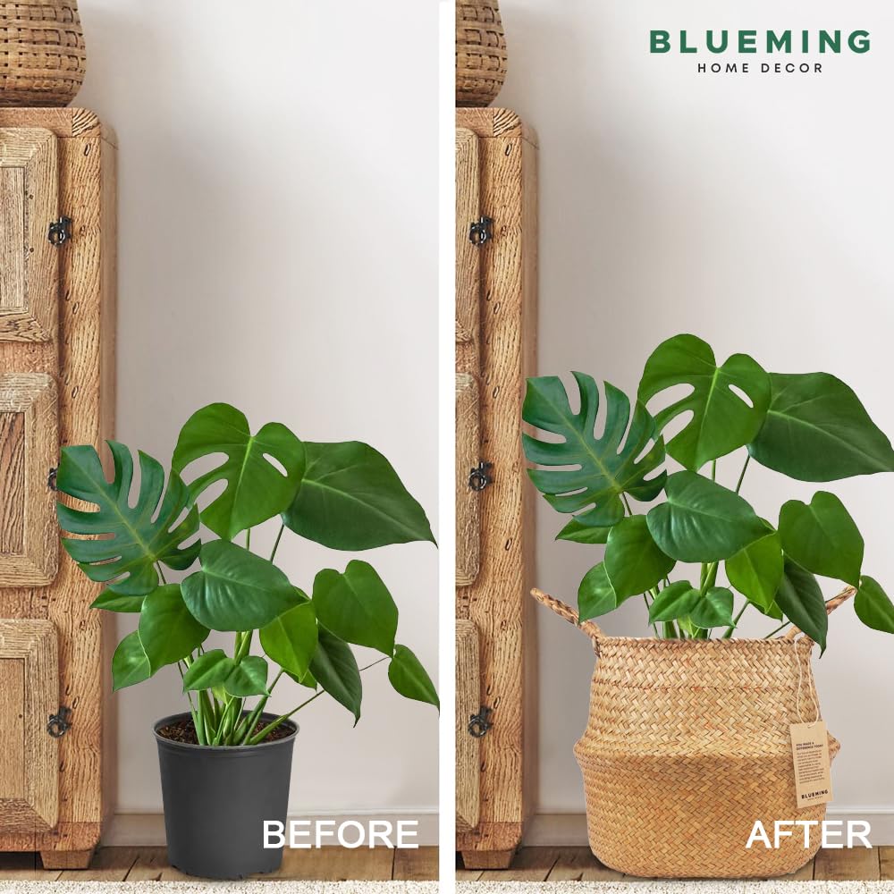 Blueming Home Decor comparación de tamaño con mano para referencia práctica