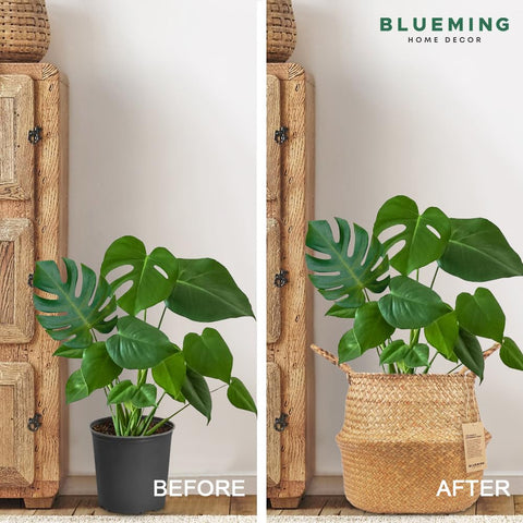 Blueming Home Decor comparación de tamaño con mano para referencia práctica