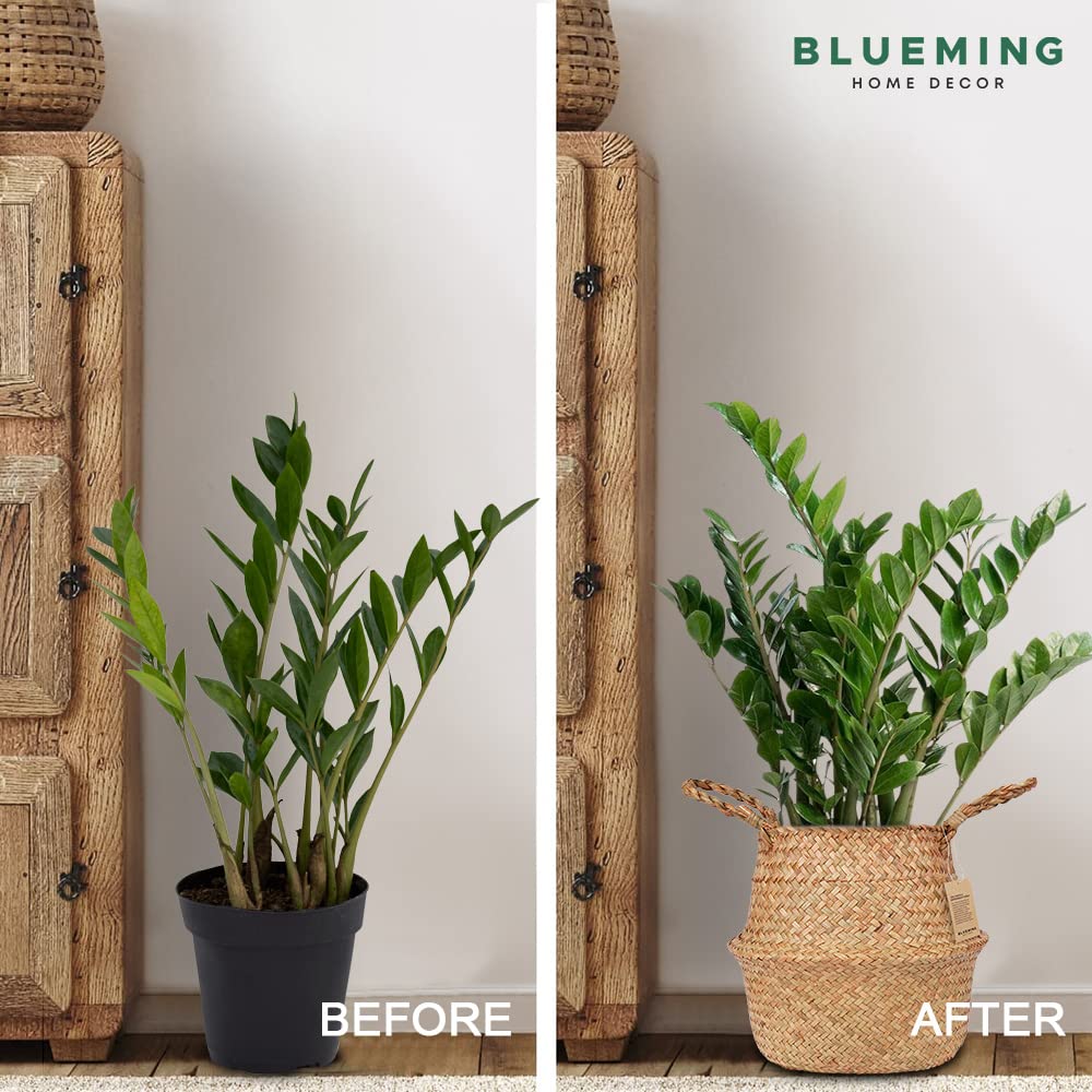 Blueming Home Decor comparación de tamaño junto a una regla para referencia