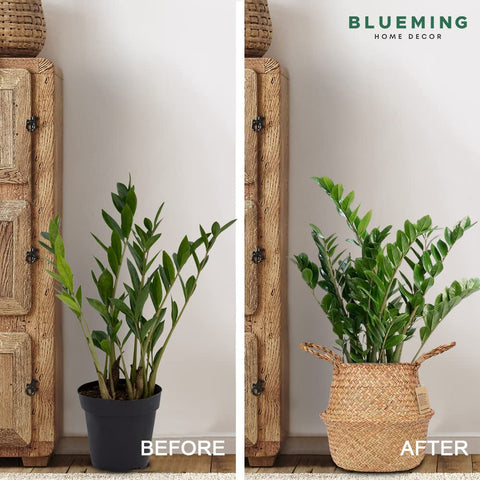 Blueming Home Decor comparación de tamaño junto a una regla para referencia