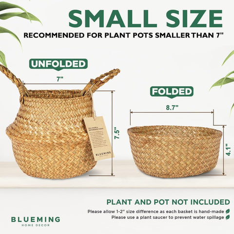Blueming Home Decor funda puesta en maceta con planta verde, mejora estética