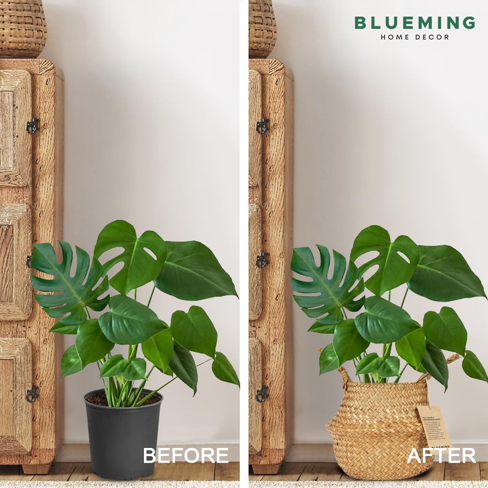 Blueming Home Decor cesta plegada para almacenamiento compacto y transporte fácil