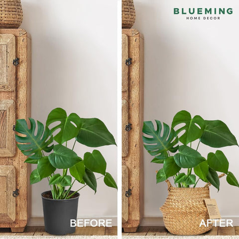 Blueming Home Decor cesta plegada para almacenamiento compacto y transporte fácil