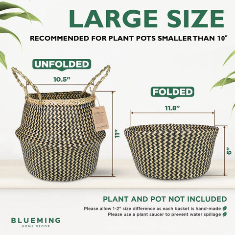 Blueming Home junto a maceta de 10 pulgadas demuestra compatibilidad y escala