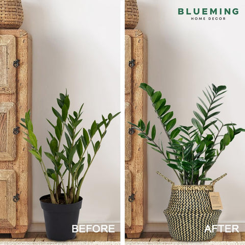 Blueming Home interior del cesto vacío listo para ocultar maceta y mejorar estética