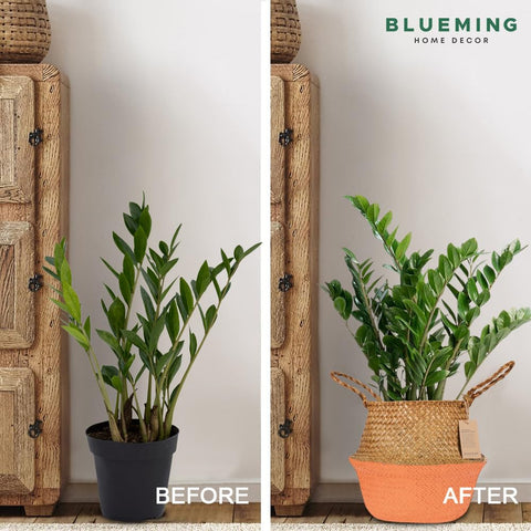 Blueming interior de la cesta con maceta y plato para protección