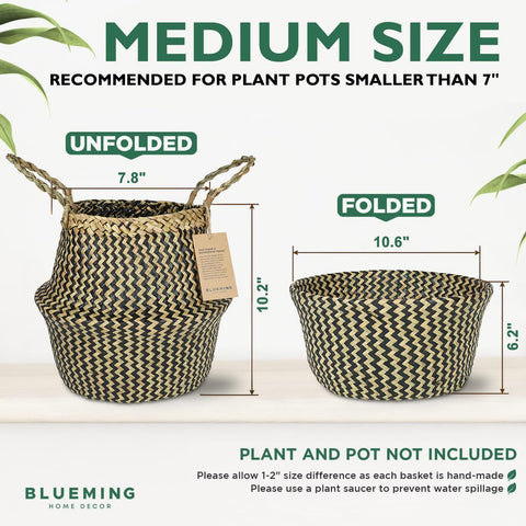 Blueming cesta junto a regla para comparar tamaño y ajuste preciso