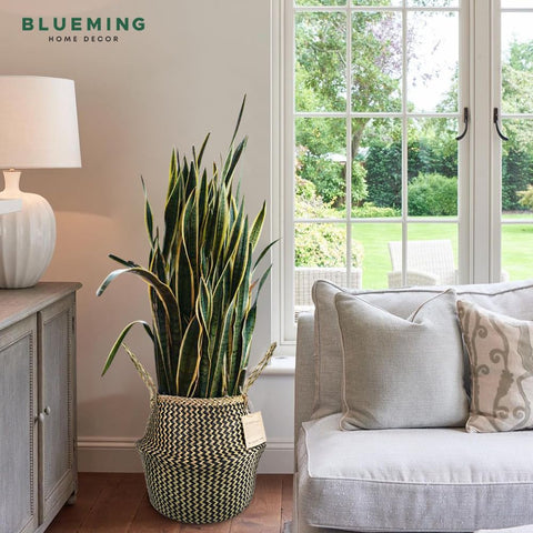 Blueming primer plano de trenza de seagrass con textura natural y duradera