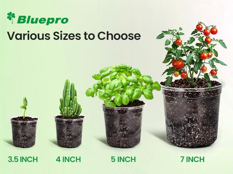 Bluepro maceta con planta y etiqueta identifica cultivo fácil