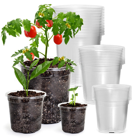 Bluepro paquete frontal 30 macetas muestra ahorro y variedad
