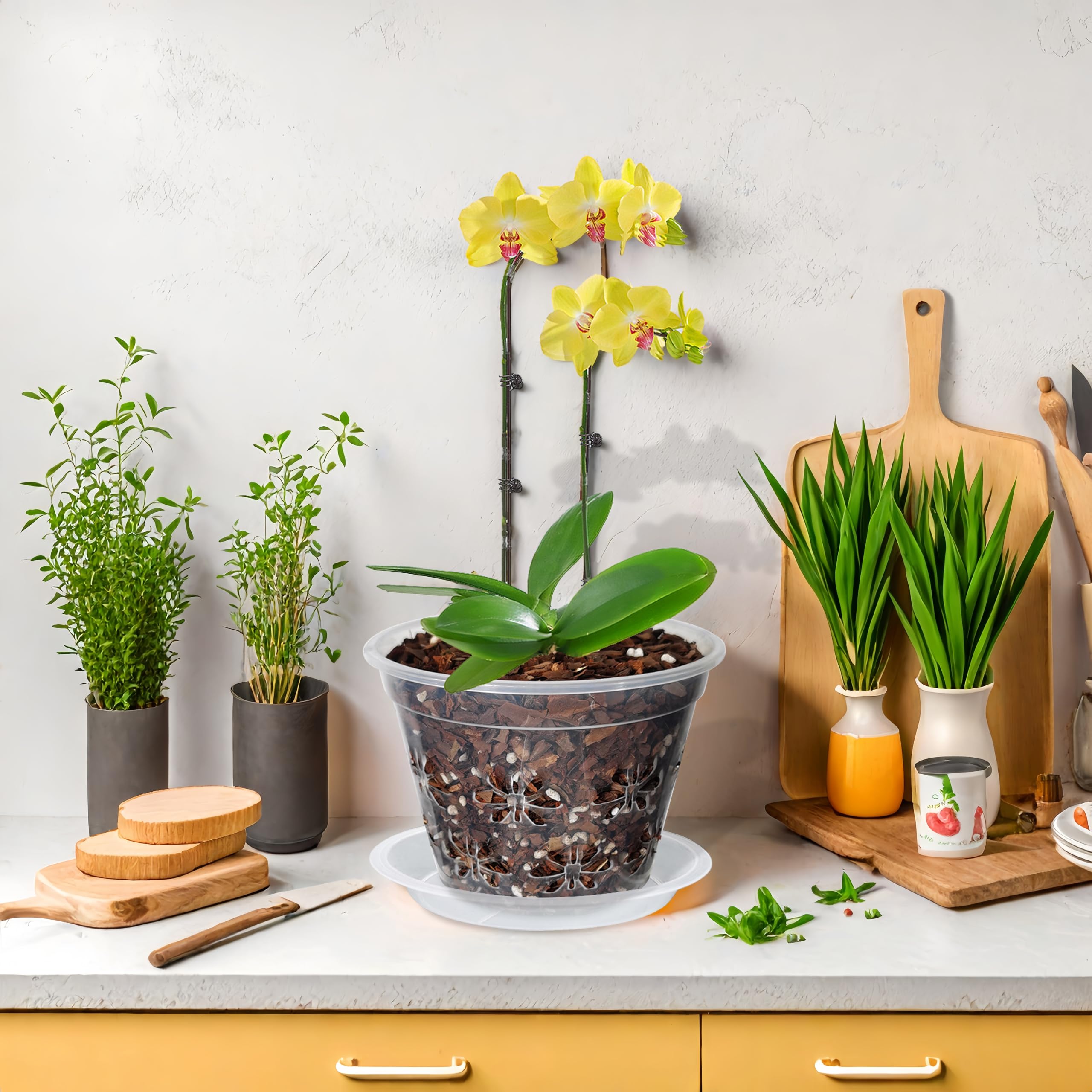 Blumiger maceta en alféizar con luz mostrando integración decorativa