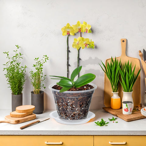 Blumiger maceta en alféizar con luz mostrando integración decorativa