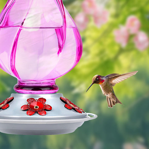 BOLITE base con cinco puertos para alimentación cómoda de colibríes